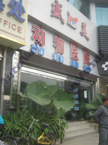 盛美动物医院