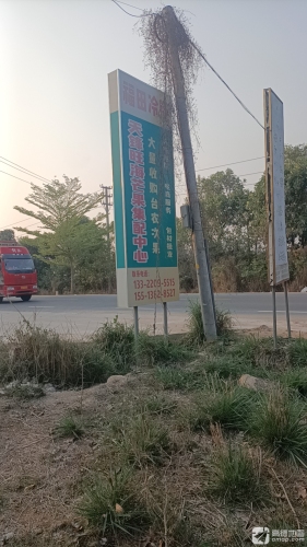 天锋旺海芒果集配中心