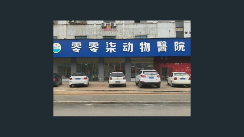 零零柒动物医院