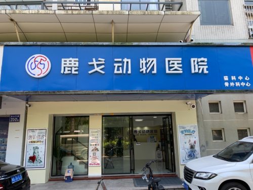 鹿戈动物医院