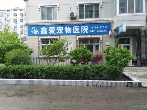 鑫爱宠物医院