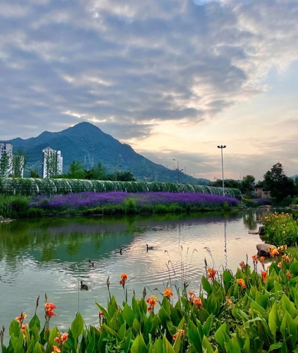 龙岩紫金山公园