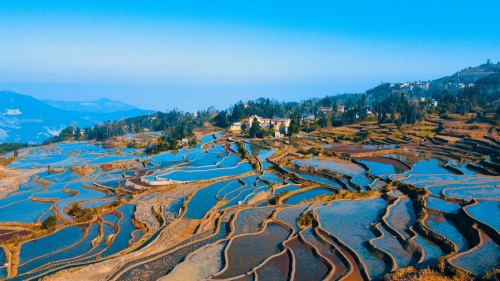 元阳梯田景区