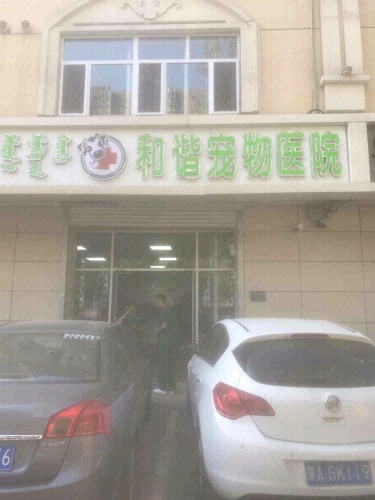 和谐动物医院