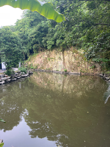 蕺山公园-临鹅池