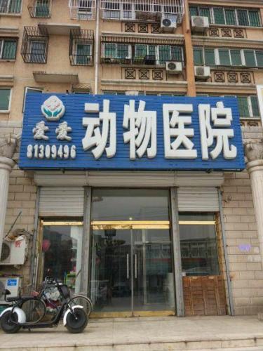 动物医院