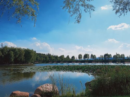 白马寺山植物园