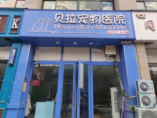 贝拉宠物医院