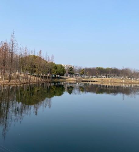 云河公园