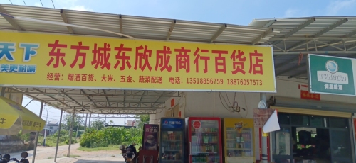 东方城东欣成商行百货店