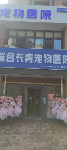 瑞合长青宠物医院