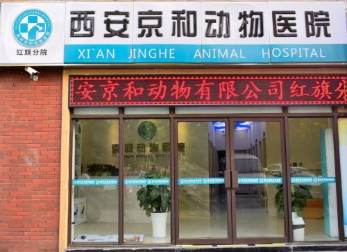 西安京和动物医院红旗分院
