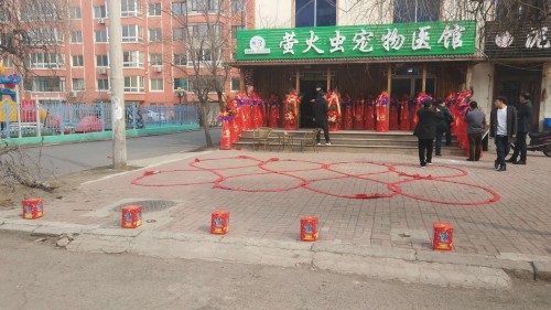 萤火虫宠物医馆