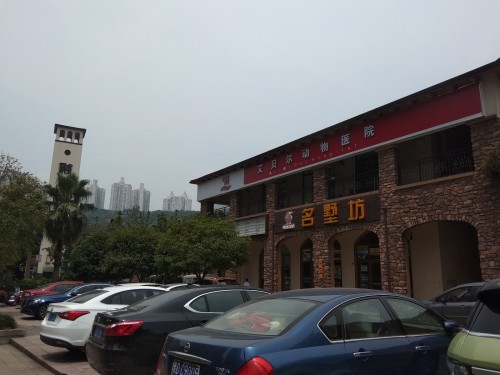 艾贝尔宠物医院(奥山店)