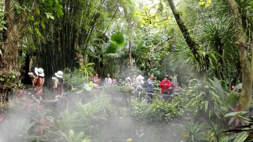 呀诺达雨林文化旅游区-雨林谷