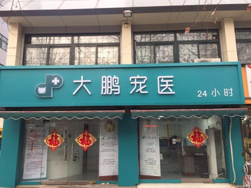 大鹏宠医24小时