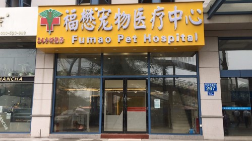 福懋动物医院东圃中心医院