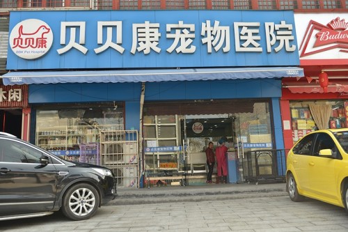 贝贝康宠物医院(书院路)