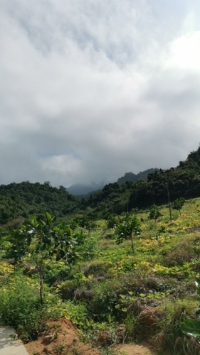 观音峰