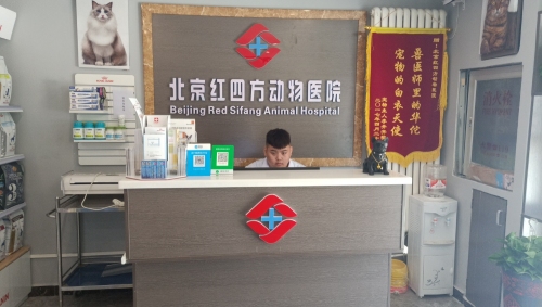 红四方动物门诊