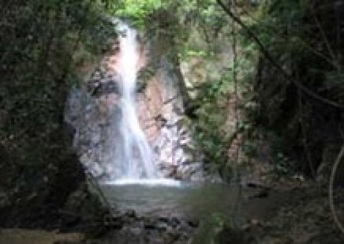 黑石顶自然保护区