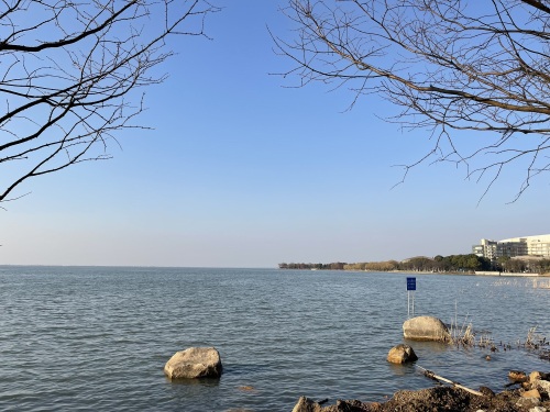 巴城生态湿地公园