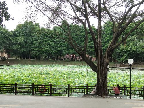 东湖广场