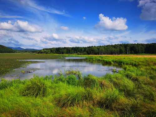 逍遥八仙湖景区