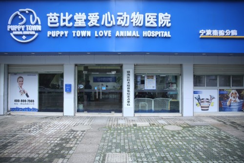 芭比堂爱心动物医院宁波骆驼分院