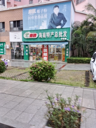 南国海南特产总批发(天源海景店)