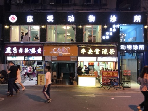 慈爱动物诊所