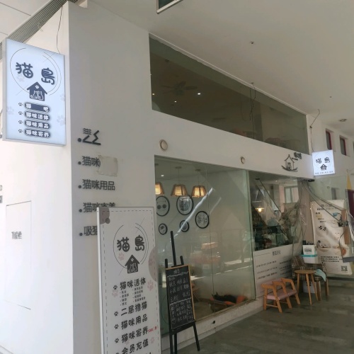 猫岛猫吧(龙湖时代汇店)