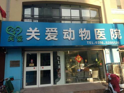 关爱动物医院