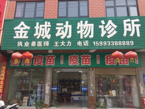 金城动物诊所
