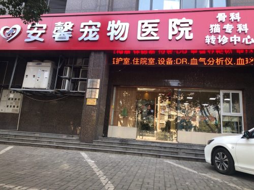 安心宠物医院