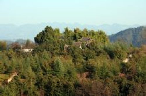 朝阳观[陕西省商洛市镇安县朝阳观]