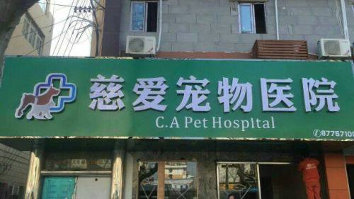 慈爱宠物医院(鼓楼店)