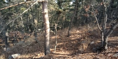 东鸡冠山景区-盘龙山堡垒