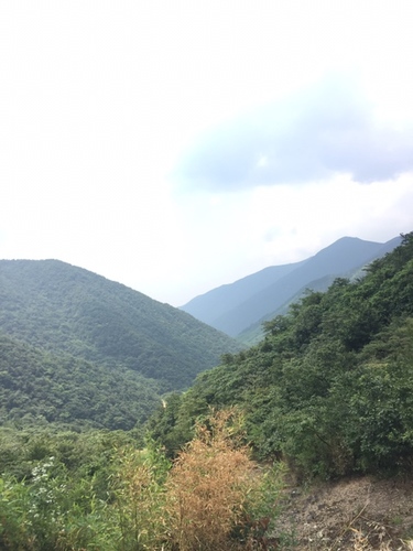 龙王山风景区