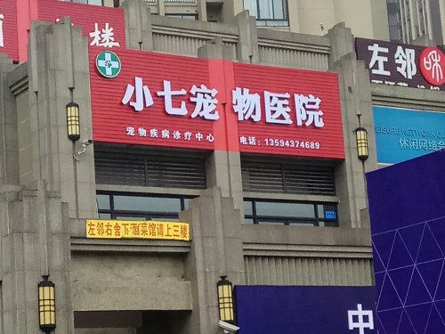 小七宠物医院