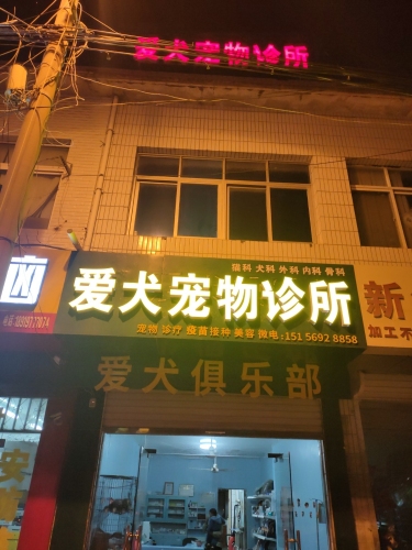 爱犬宠物诊所