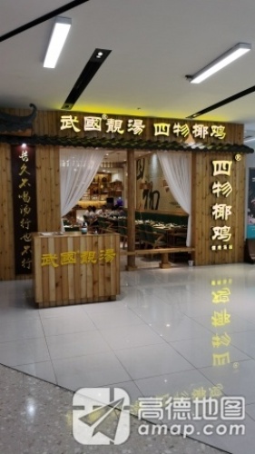武国四物椰鸡(海航国际店)