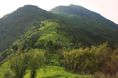 化龙山自然保护区