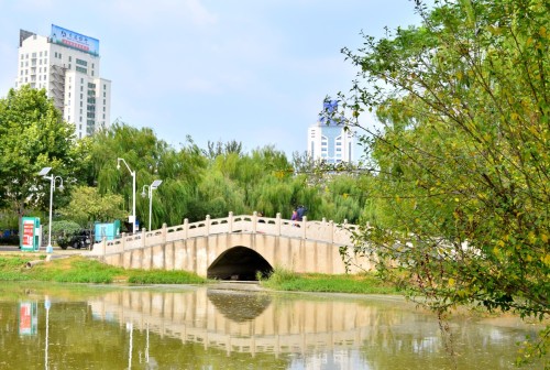 苍梧绿园