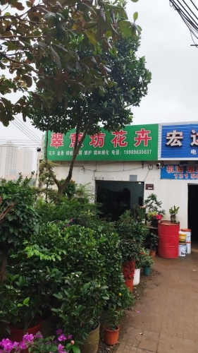老城翠意坊花卉店