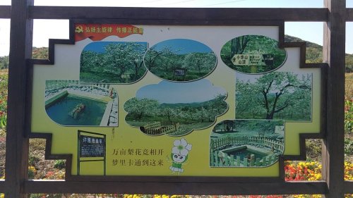 梨花谷