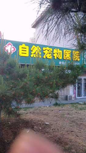 自然宠物医院(周村店)