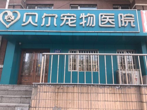 贝尔宠物医院(三合路店)