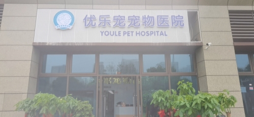 优乐宠宠物医院