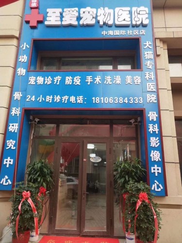 相依至爱宠物医院(中海国际社区店)